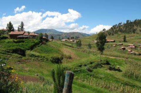 Photo of a field
