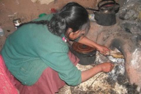 A woman in a household participating in the study cooks guy (guinea pig).
