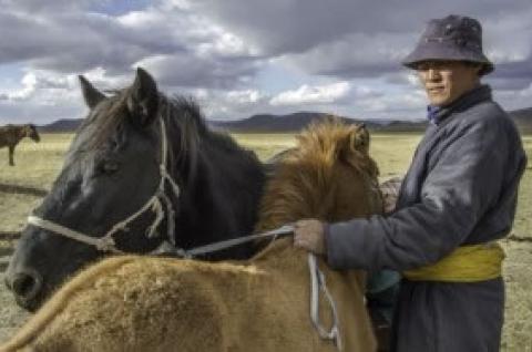 Photo d'un homme avec des chevaux