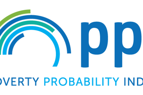 PPI_logo_RGB.svg