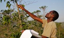 West_Africa_Farmer.jpg West_Africa_Farmer.jpg