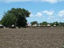 tree_village.jpg tree_village.jpg