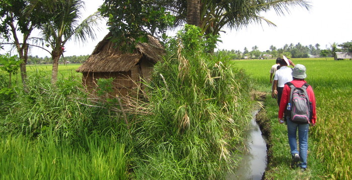 Surveyors in the Philippines Surveyors in the Philippines
