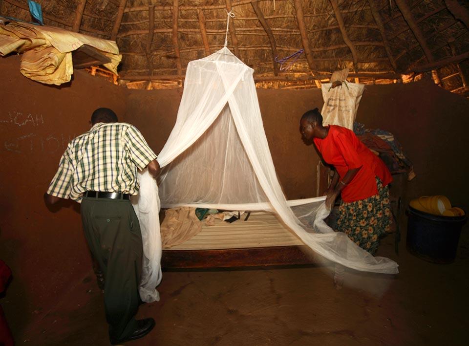 malaria-bednet.jpg